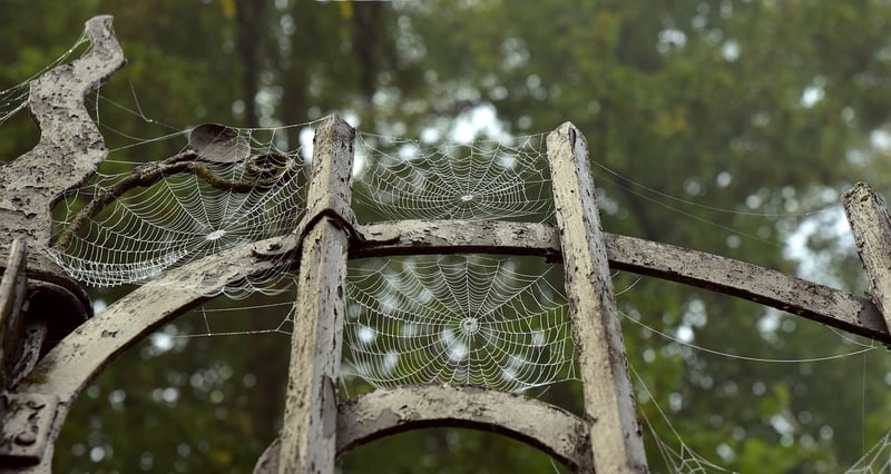 Time Portal